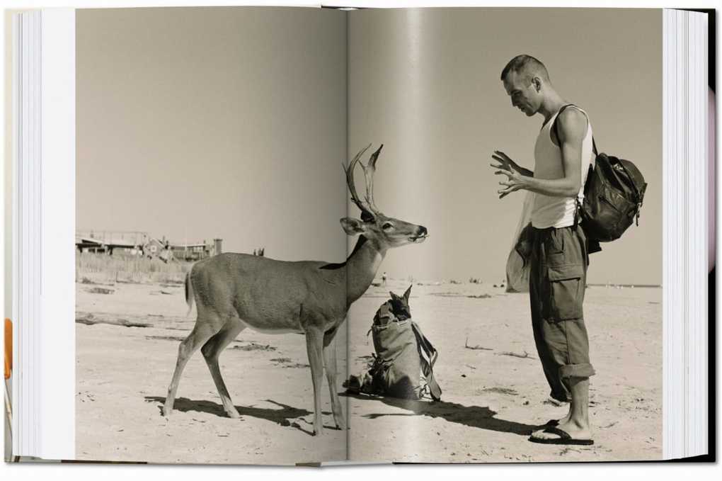 Weitere Ansicht: Wolfgang Tillmans. four books. 40th Ed.