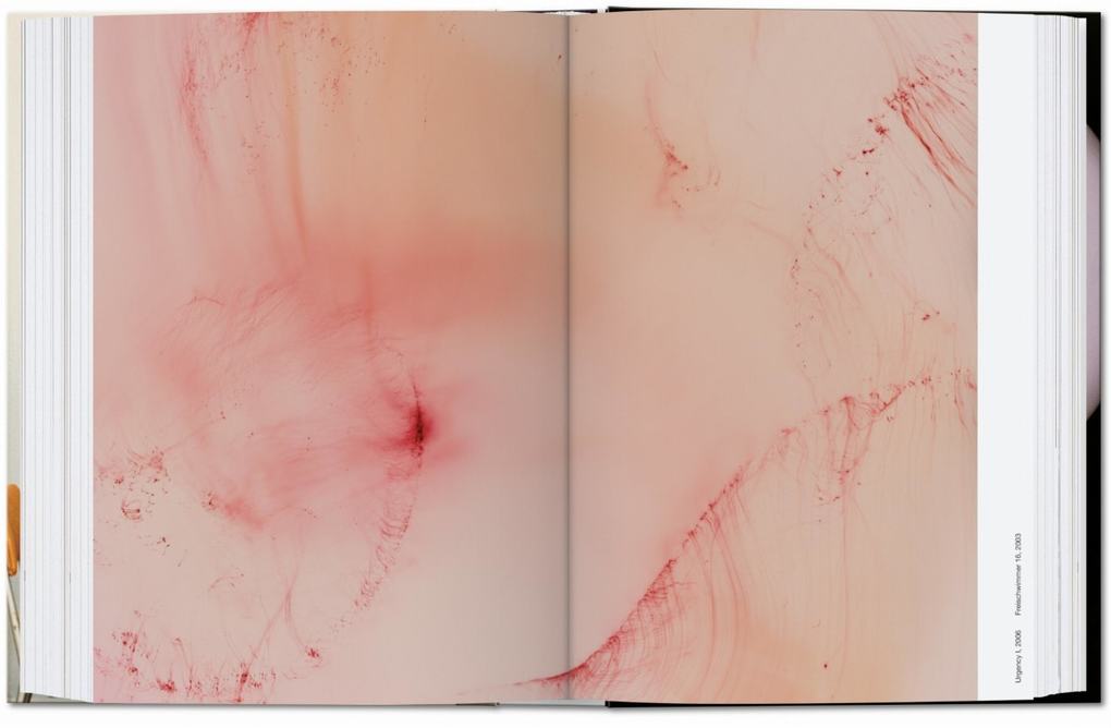 Weitere Ansicht: Wolfgang Tillmans. four books. 40th Ed.
