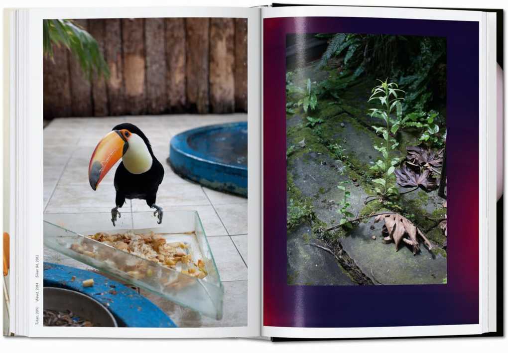 Weitere Ansicht: Wolfgang Tillmans. four books. 40th Ed.