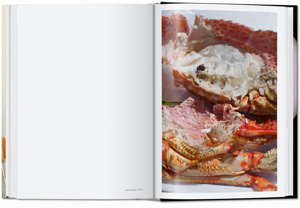 Weitere Ansicht: Wolfgang Tillmans. four books. 40th Ed.