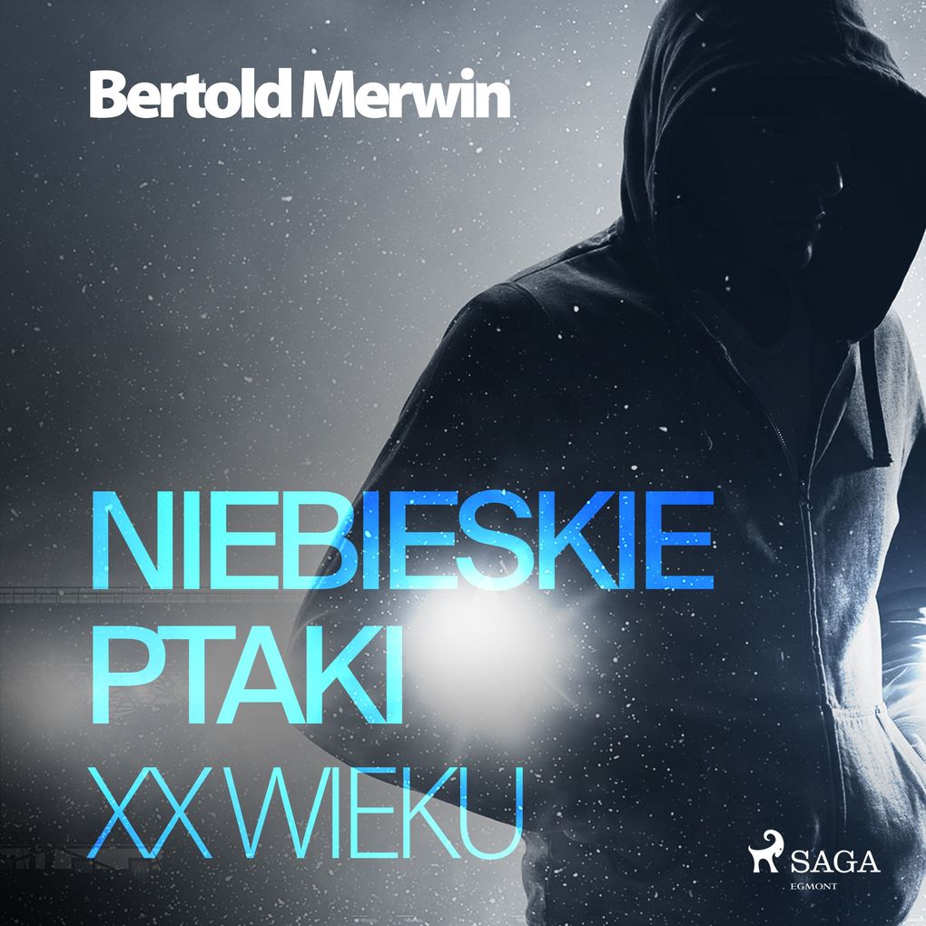 Produktbild: Niebieskie ptaki XX wieku | Bertold Merwin