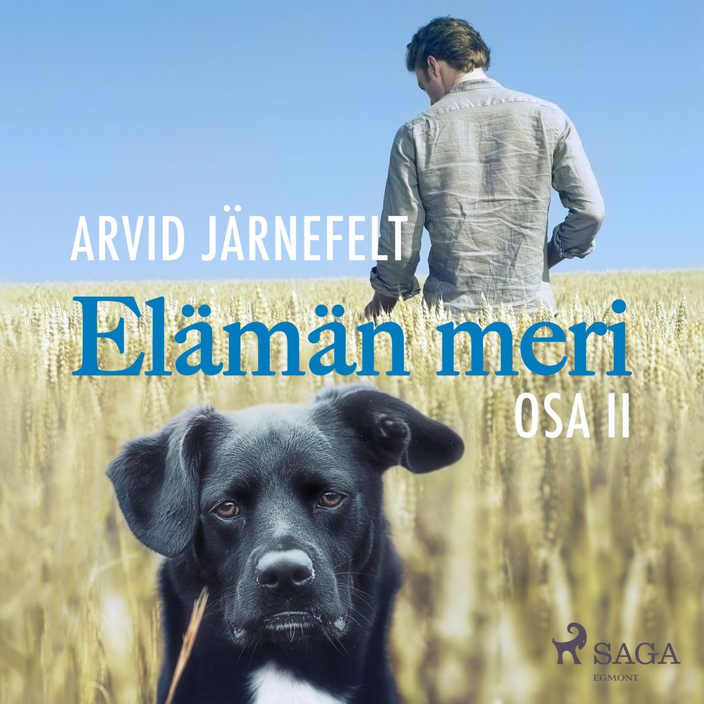 Produktbild: Elämän meri, osa 2 | Arvid Järnefelt
