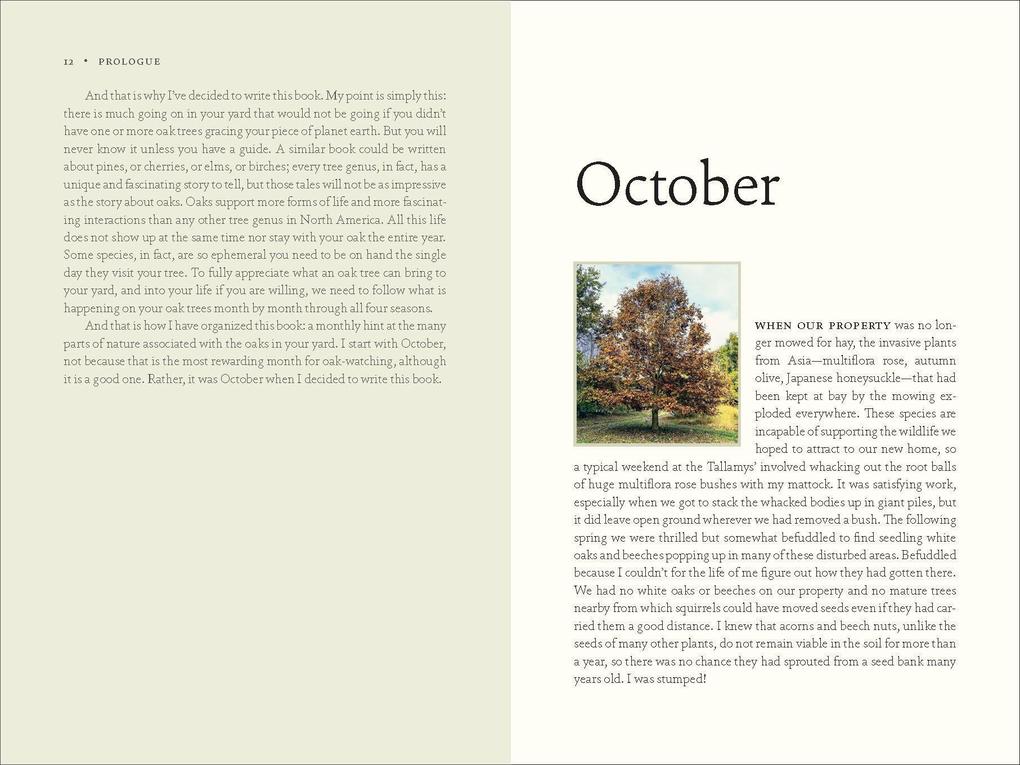 Weitere Ansicht: The Nature of Oaks | Douglas W. Tallamy