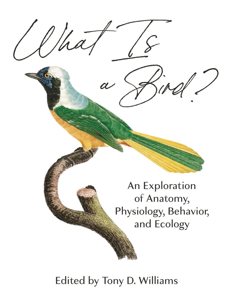 Produktbild: What Is a Bird?