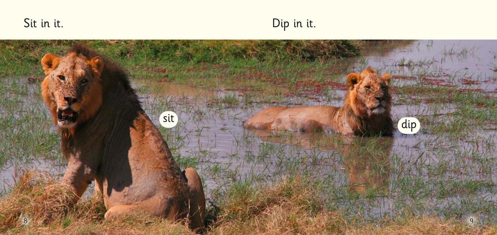 Weitere Ansicht: Nap in it | Caroline Green