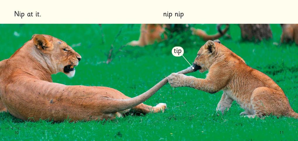 Weitere Ansicht: Nap in it | Caroline Green