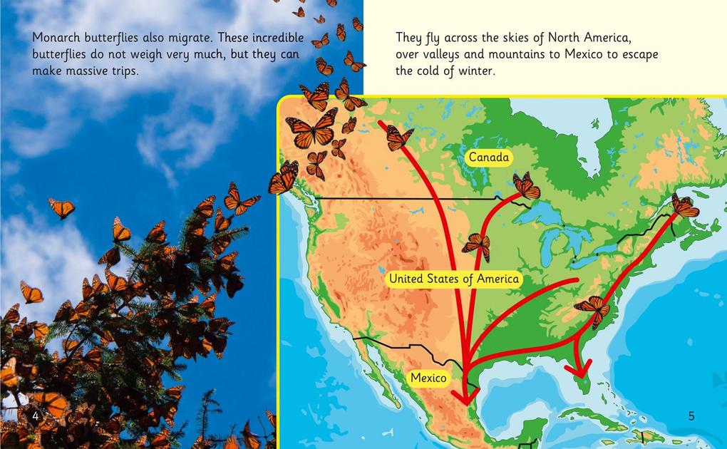 Weitere Ansicht: The Incredible Lives of Monarch Butterflies | Hawys Morgan