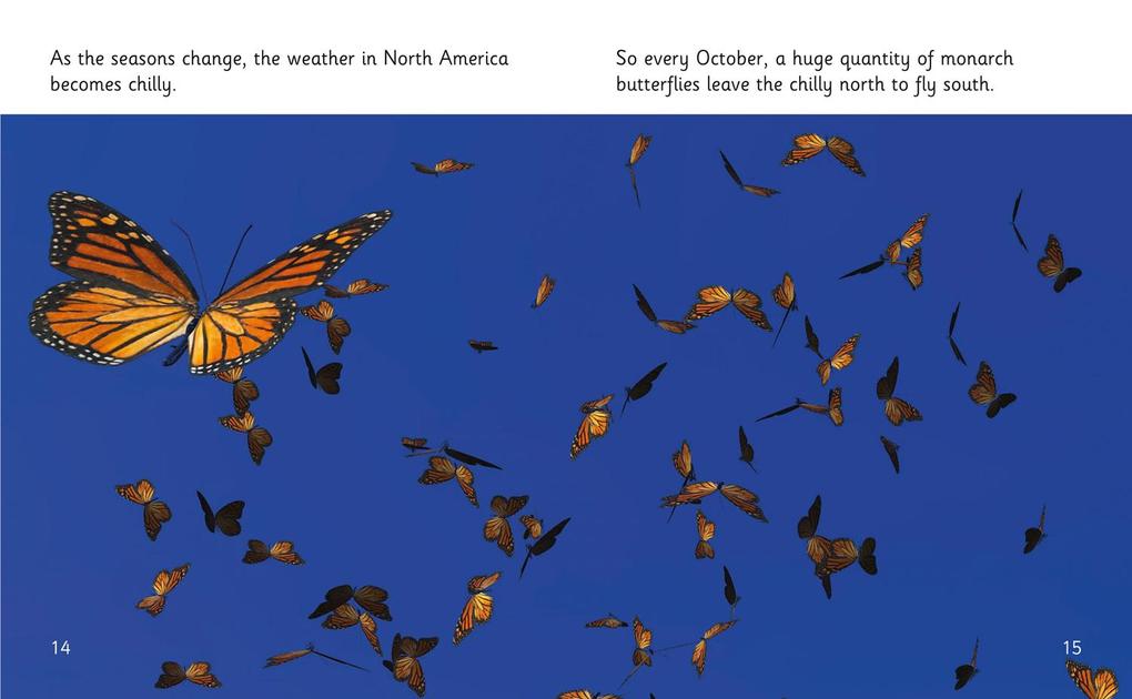 Weitere Ansicht: The Incredible Lives of Monarch Butterflies | Hawys Morgan