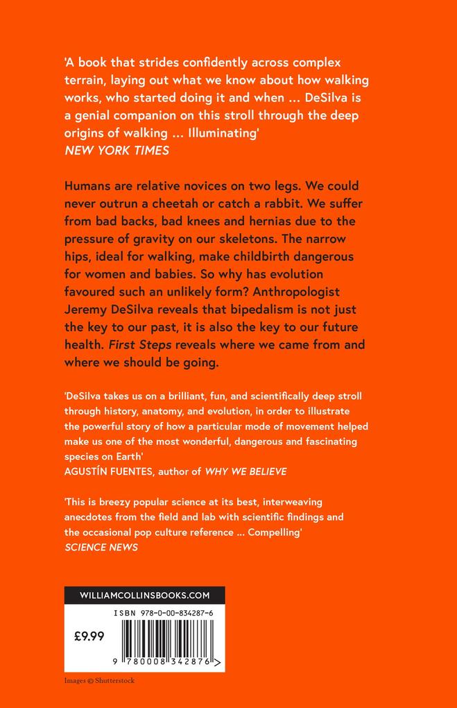 Weitere Ansicht: First Steps | Jeremy DeSilva