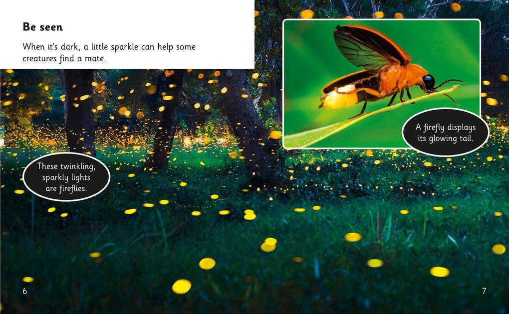 Weitere Ansicht: Animal Tricks: Glow in the Dark | Rob Alcraft