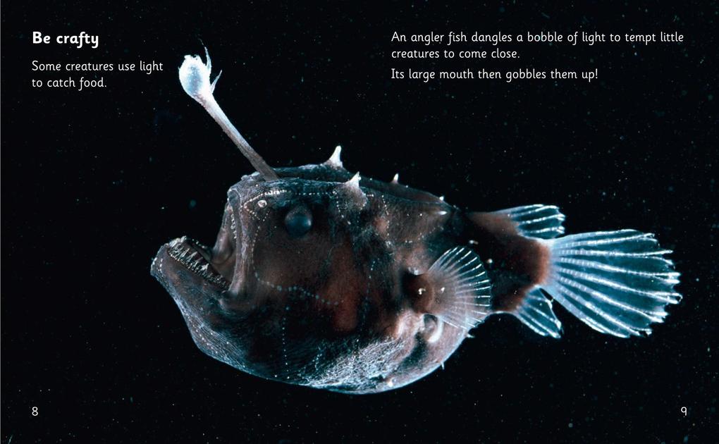 Weitere Ansicht: Animal Tricks: Glow in the Dark | Rob Alcraft