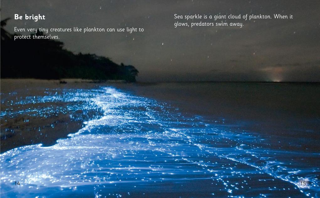 Weitere Ansicht: Animal Tricks: Glow in the Dark | Rob Alcraft