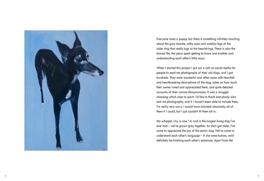 Weitere Ansicht: Old Dogs | Sally Muir