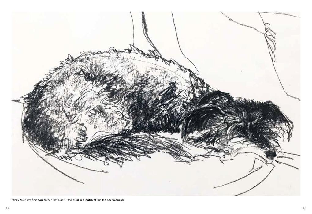 Weitere Ansicht: Old Dogs | Sally Muir