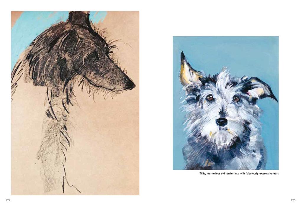 Weitere Ansicht: Old Dogs | Sally Muir