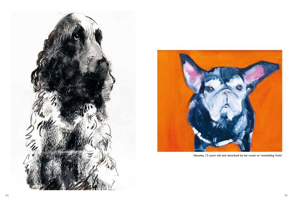 Weitere Ansicht: Old Dogs | Sally Muir