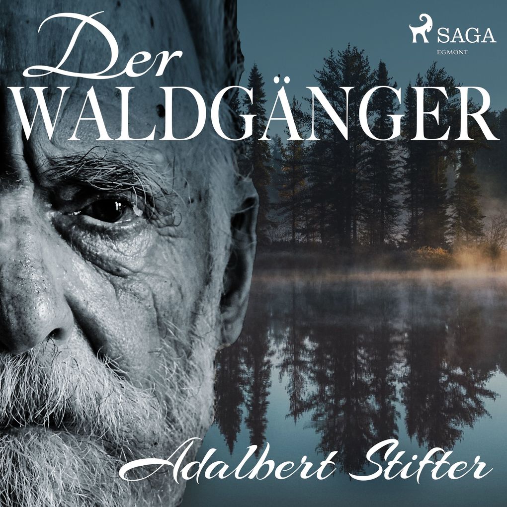 Produktbild: Der Waldgänger | Adalbert Stifter