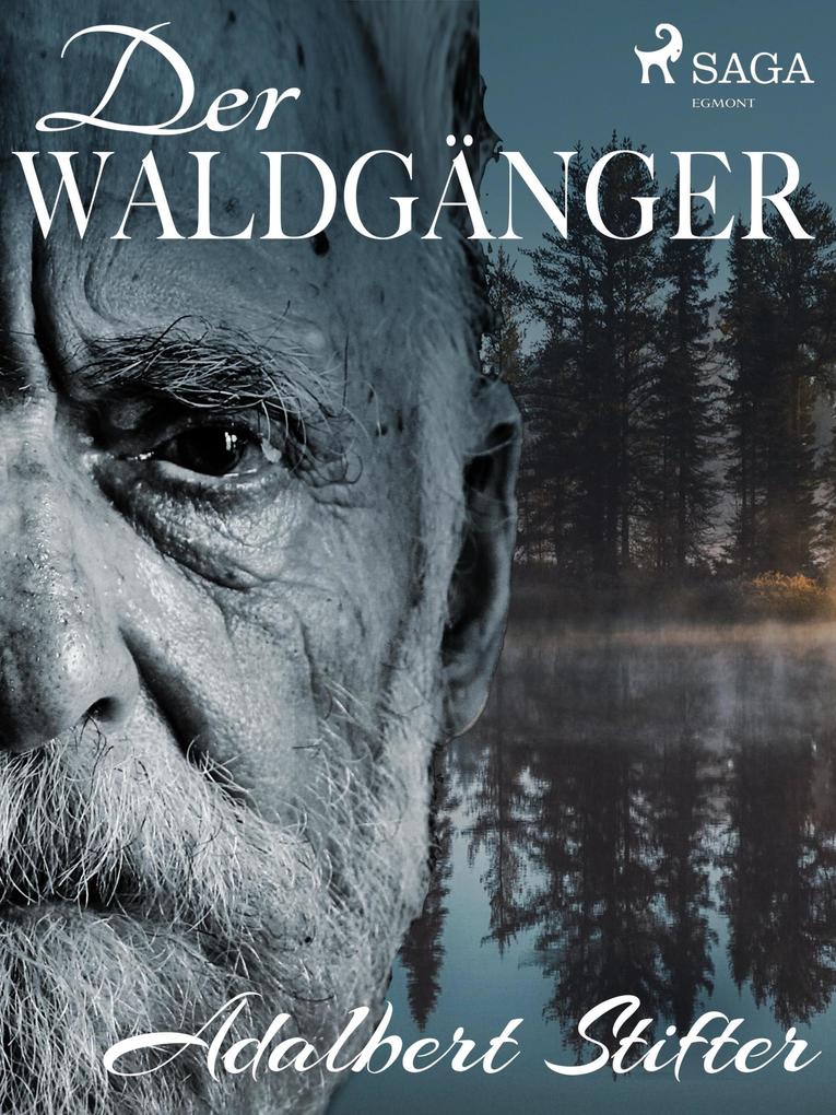 Produktbild: Der Waldgänger | Adalbert Stifter