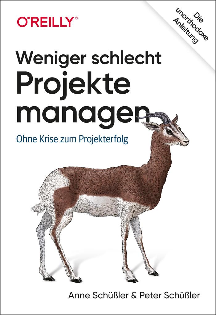 Produktbild: Weniger schlecht Projekte managen | Anne Schüßler, Peter Schüßler