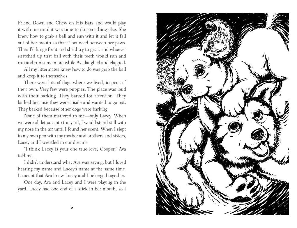 Weitere Ansicht: Cooper's Story | W Bruce Cameron