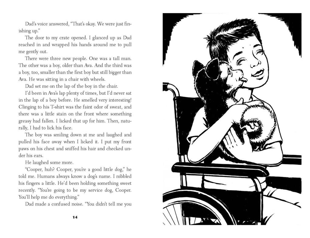 Weitere Ansicht: Cooper's Story | W Bruce Cameron