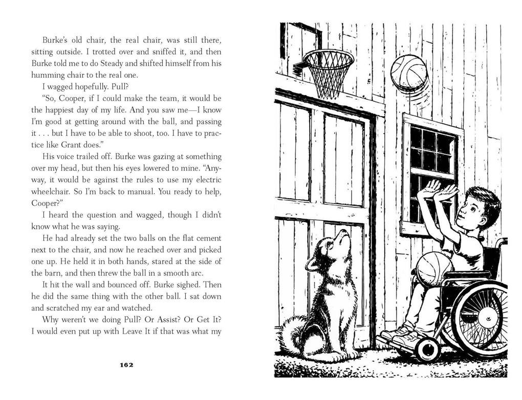 Weitere Ansicht: Cooper's Story | W Bruce Cameron
