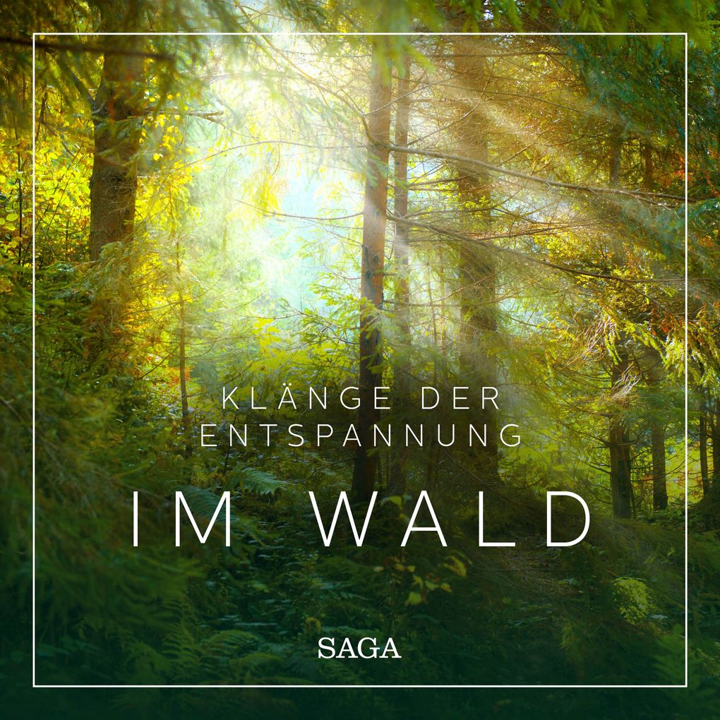 Produktbild: Klänge der Entspannung - Im Wald | Rasmus Broe