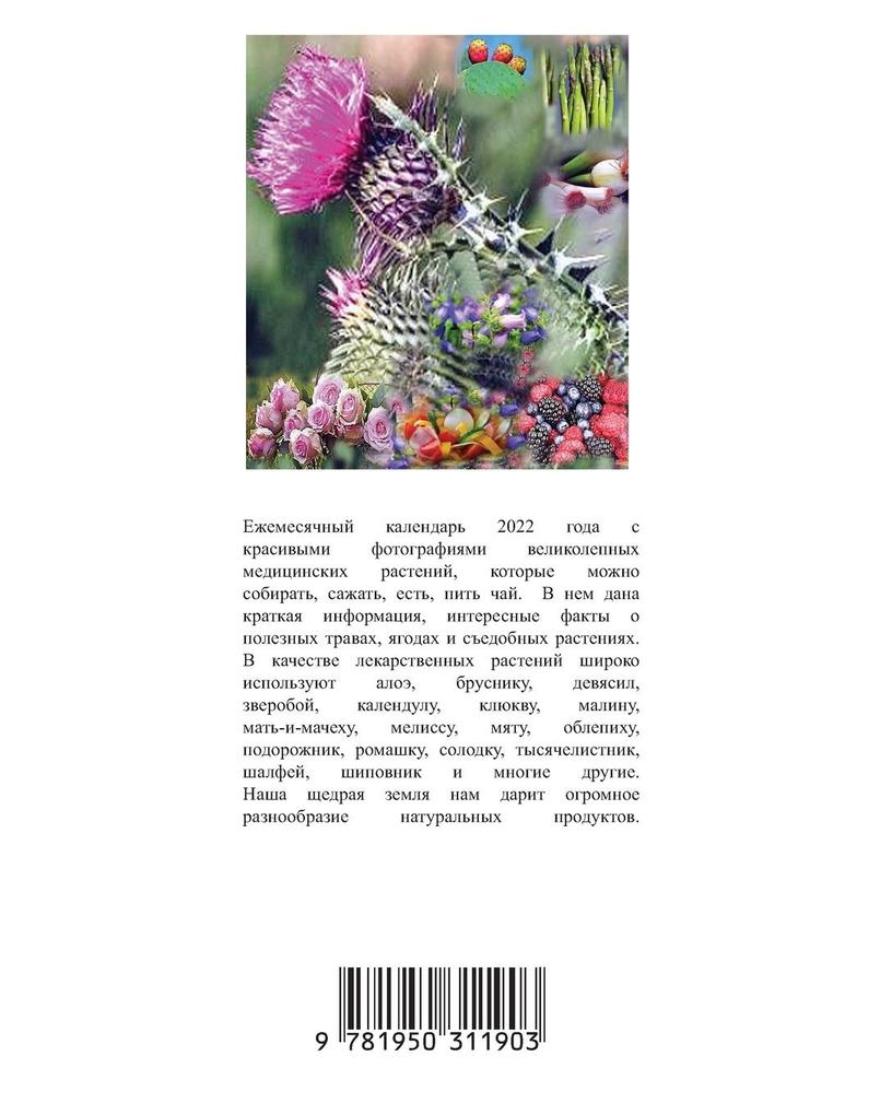 Weitere Ansicht: Книга. Календар 2022 | Elena Pankey, Elena Bulat