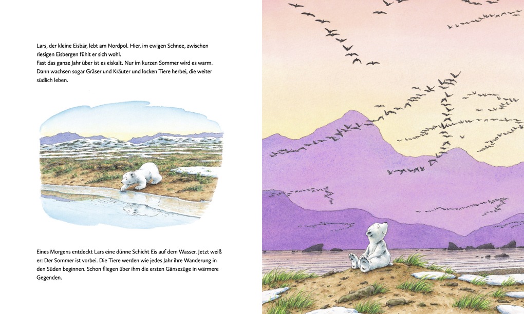 Weitere Ansicht: Kleiner Eisbär. Lars rettet die Rentiere | Hans de Beer