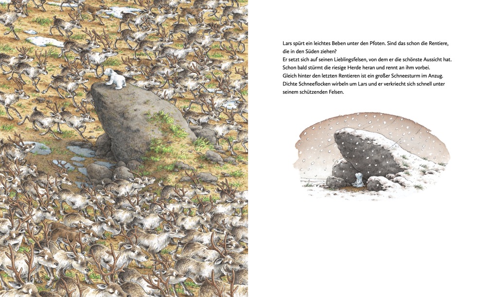 Weitere Ansicht: Kleiner Eisbär. Lars rettet die Rentiere | Hans de Beer