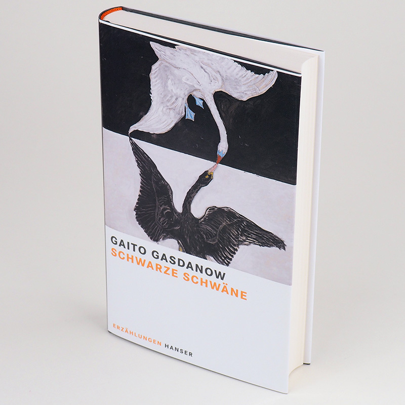 Weitere Ansicht: Schwarze Schwäne | Gaito Gasdanow