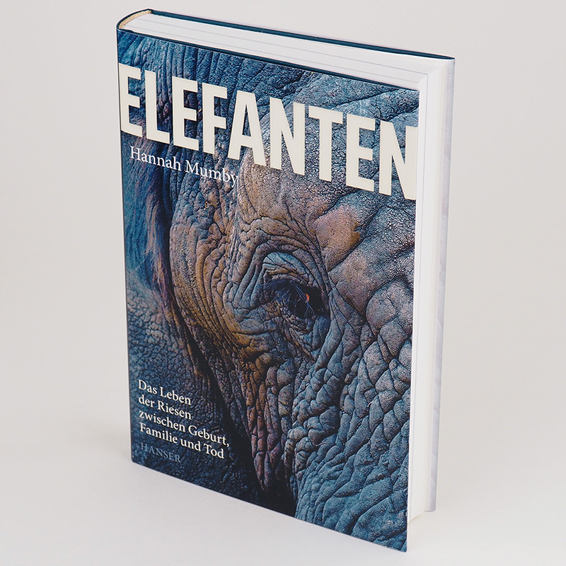 Weitere Ansicht: Elefanten | Hannah Mumby