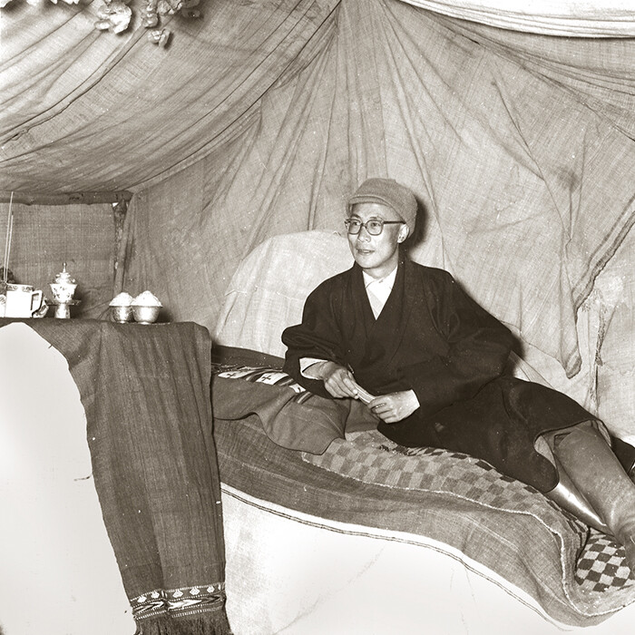 Weitere Ansicht: Dalai Lama | Tenzin Geyche Tethong