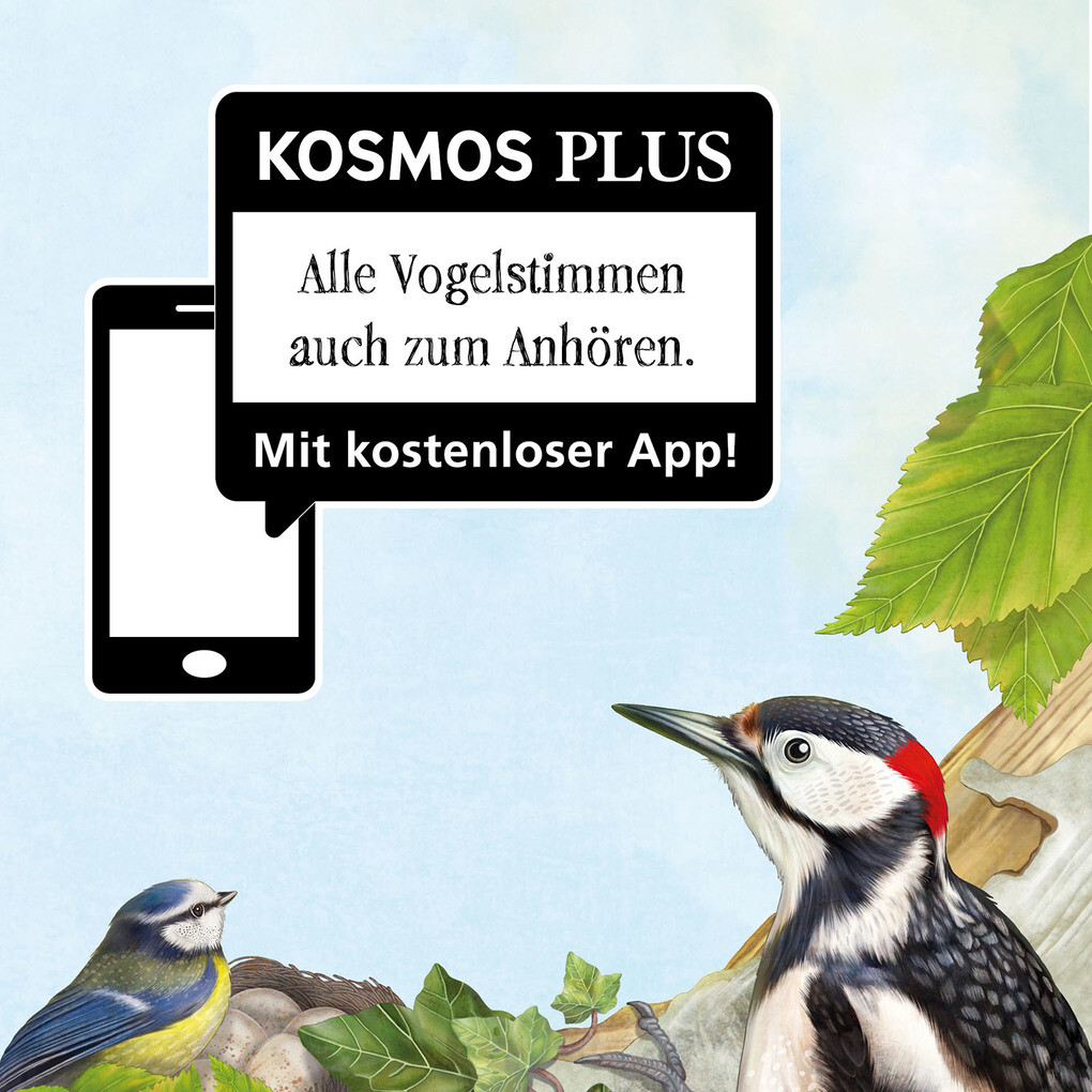 Weitere Ansicht: Mein Vogelbuch | Svenja Ernsten