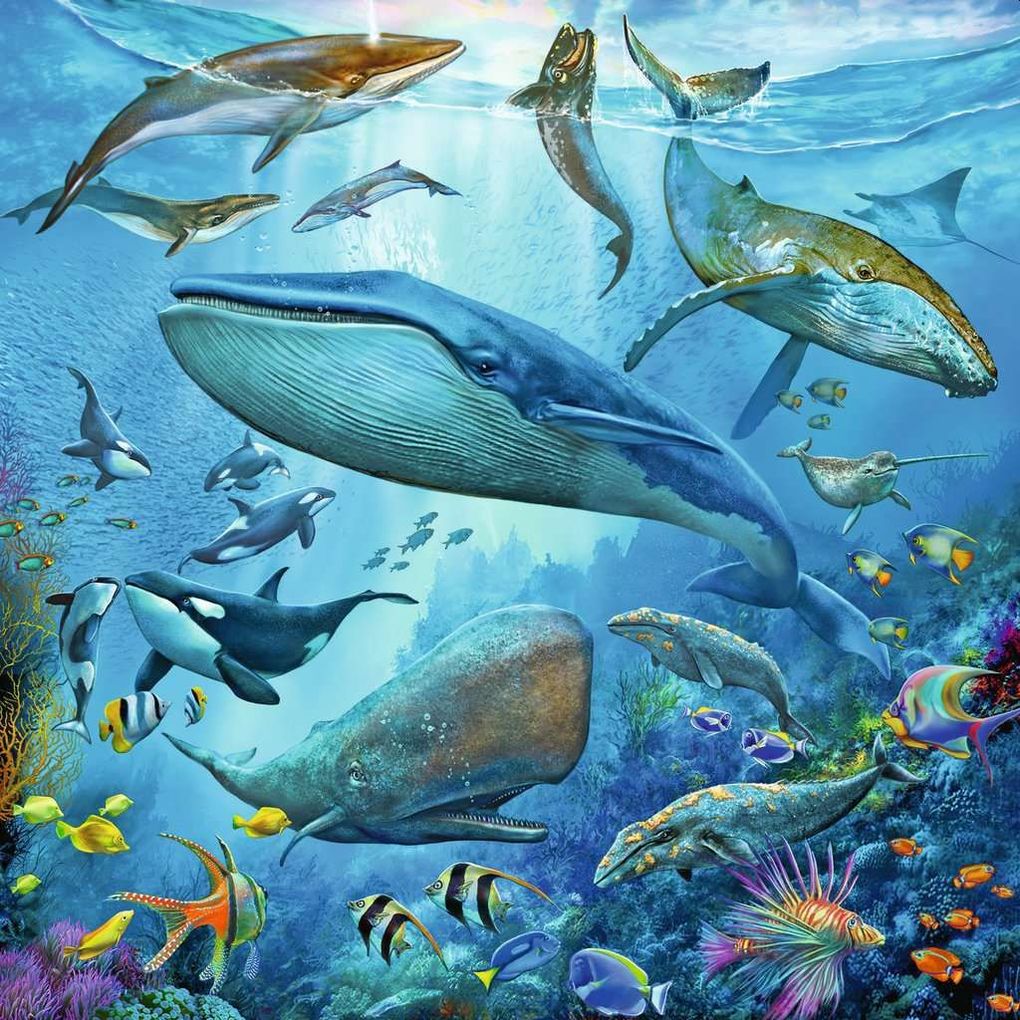 Weitere Ansicht: Ravensburger - Tierwelt des Ozeans, 3 x 49 Teile