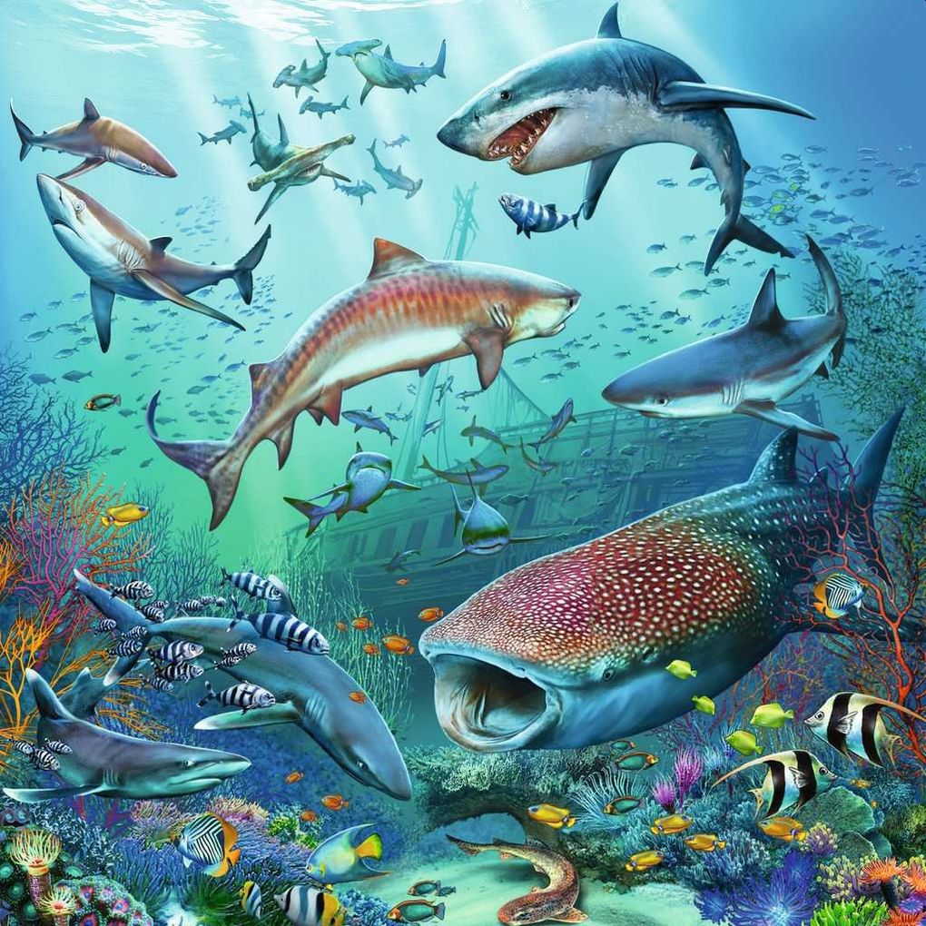 Weitere Ansicht: Ravensburger - Tierwelt des Ozeans, 3 x 49 Teile
