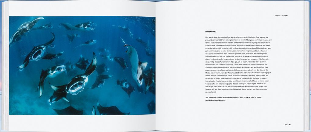 Weitere Ansicht: Die erstaunliche Welt der Tiere