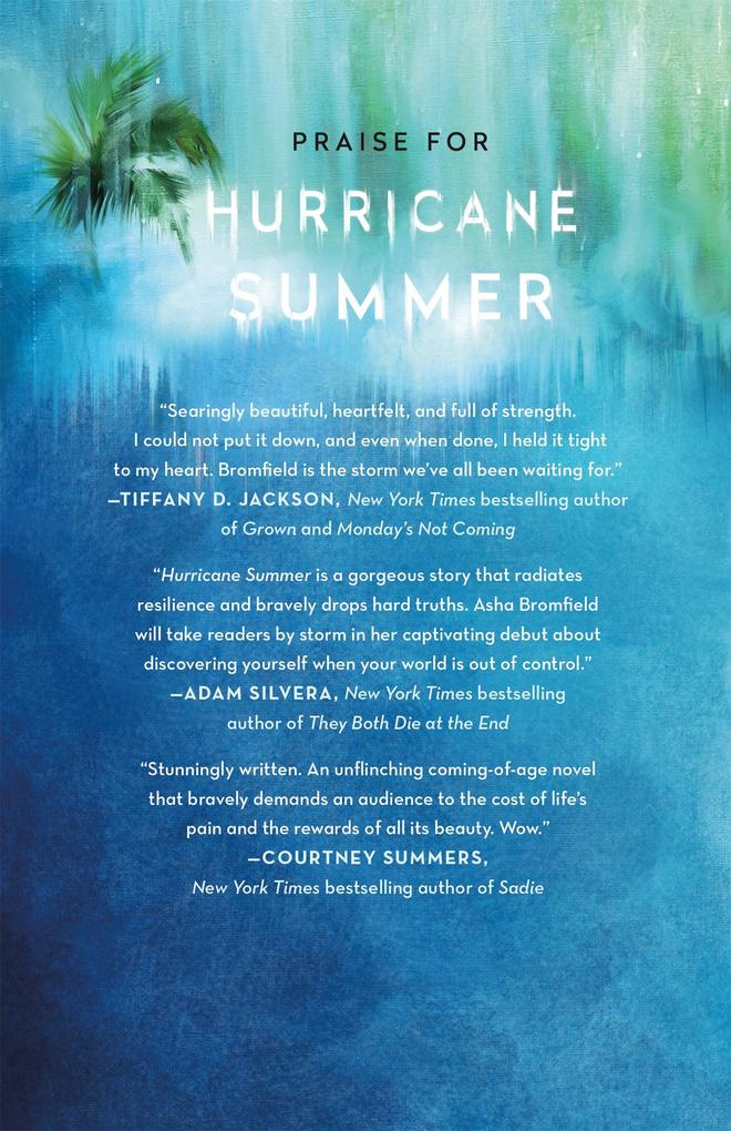 Weitere Ansicht: Hurricane Summer | Asha Ashanti Bromfield