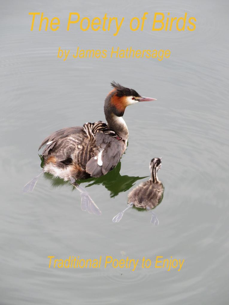 The Poetry of Birds als eBook epub