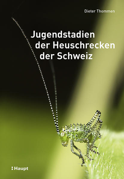 Produktbild: Jugendstadien der Heuschrecken der Schweiz | Dieter Thommen