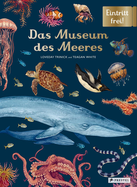 Produktbild: Das Museum des Meeres | Loveday Trinick, Teagan White
