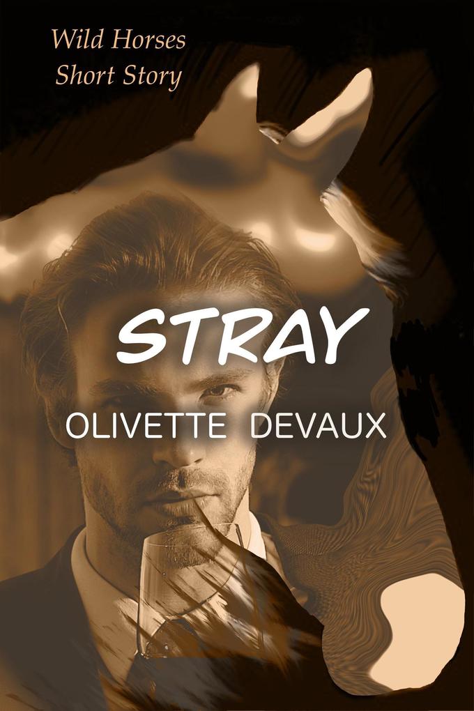 Produktbild: Stray (WILD HORSES) | Olivette Devaux