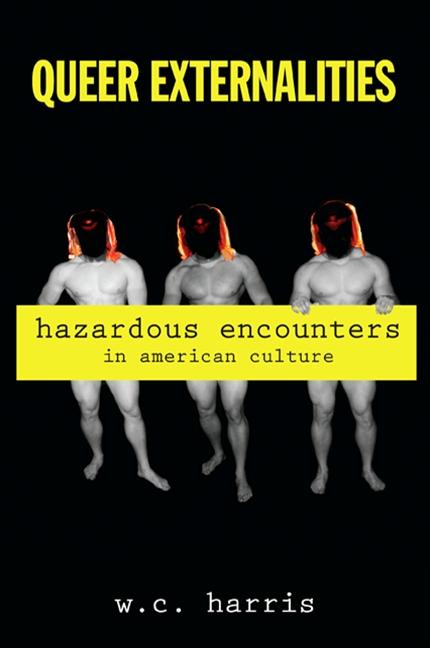 Produktbild: Queer Externalities | W. C. Harris