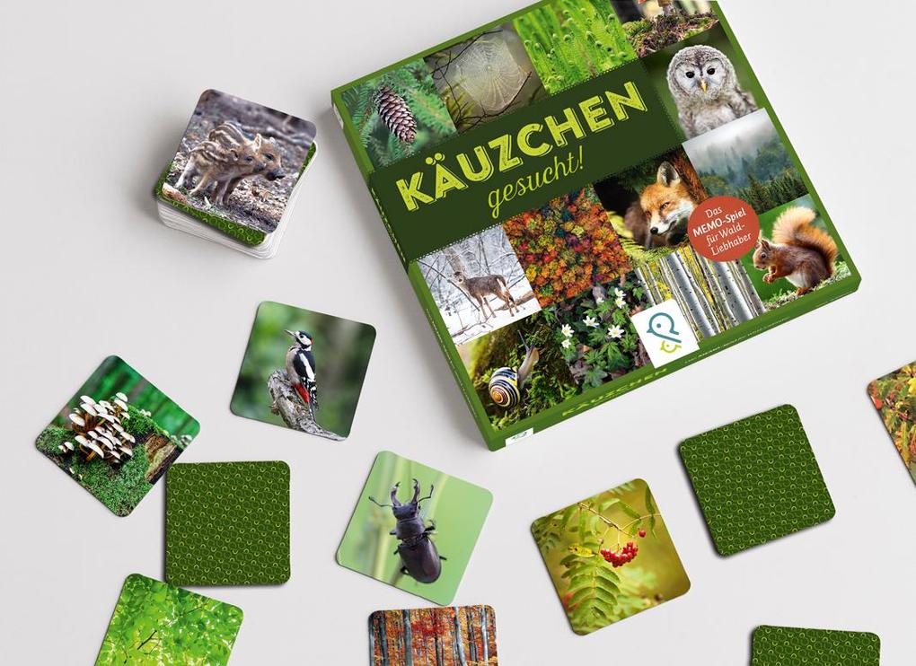 Weitere Ansicht: Käuzchen gesucht!