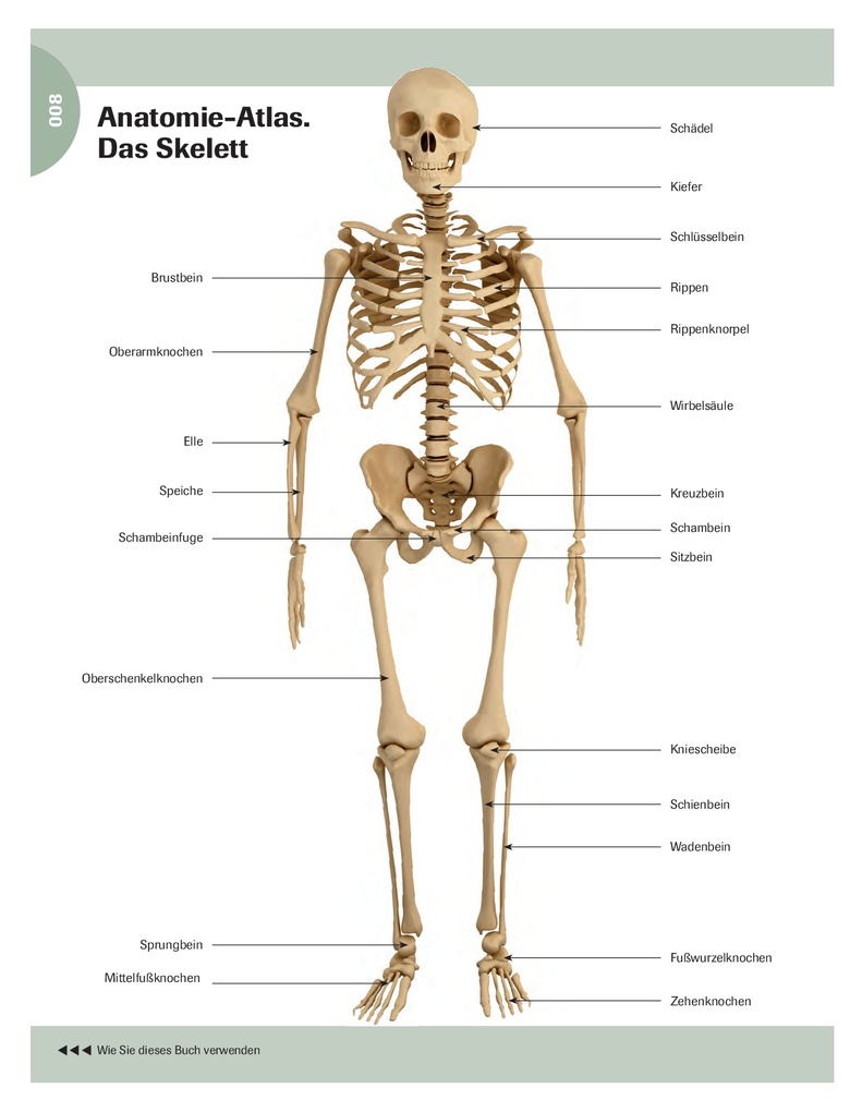 Weitere Ansicht: Stretching für Senioren