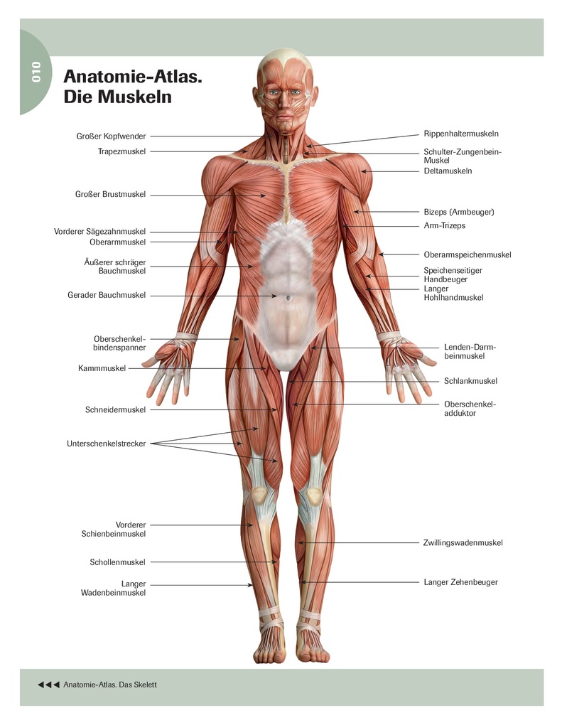 Weitere Ansicht: Stretching für Senioren