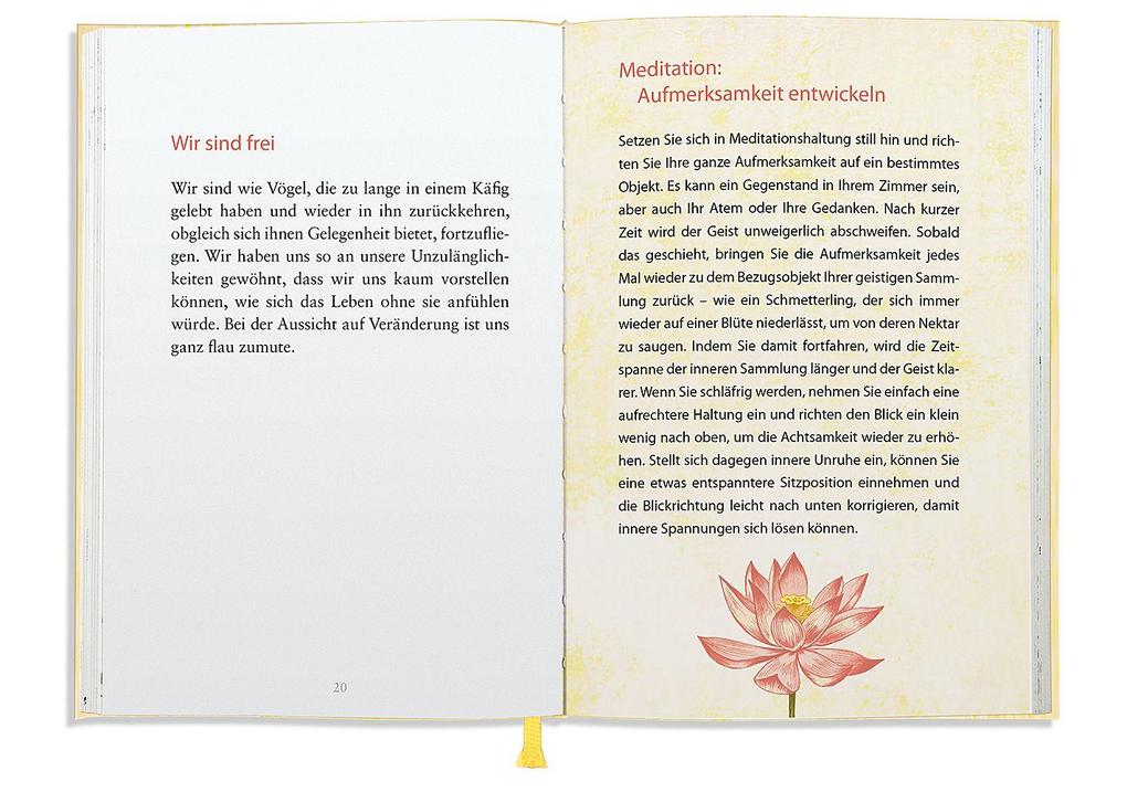 Weitere Ansicht: Glück ist immer in dir | Matthieu Ricard