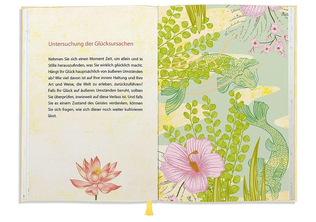 Weitere Ansicht: Glück ist immer in dir | Matthieu Ricard