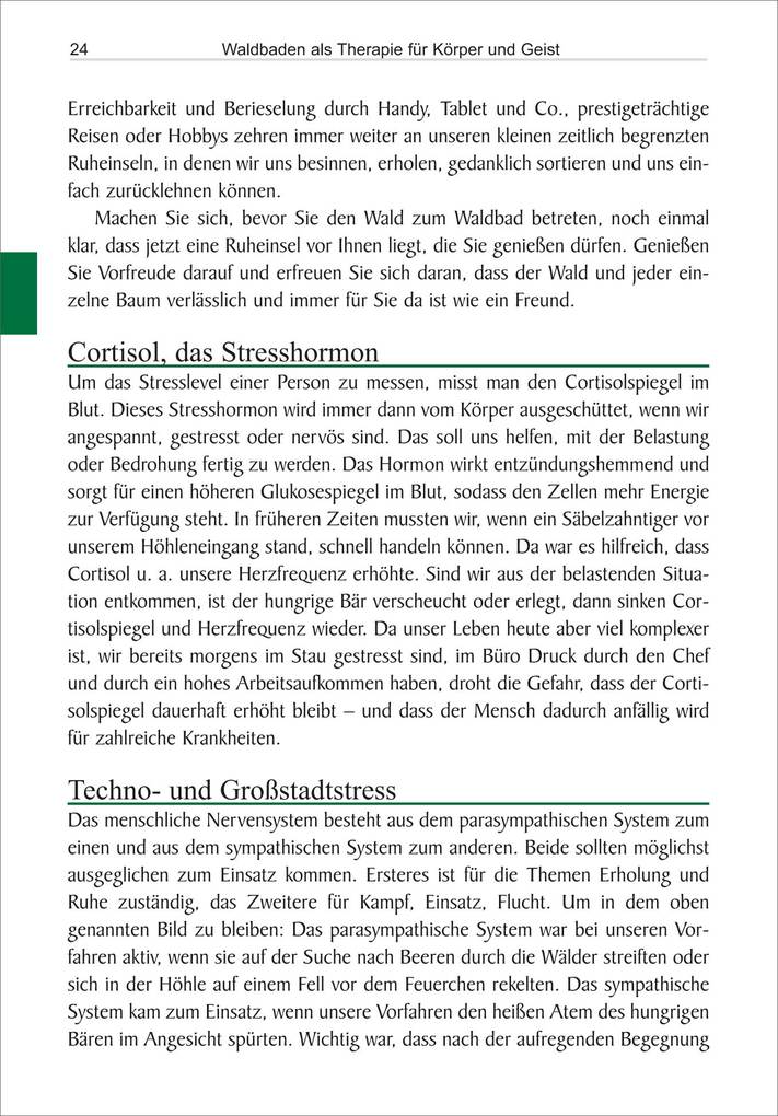 Weitere Ansicht: Waldbaden | Ulrike Katrin Peters