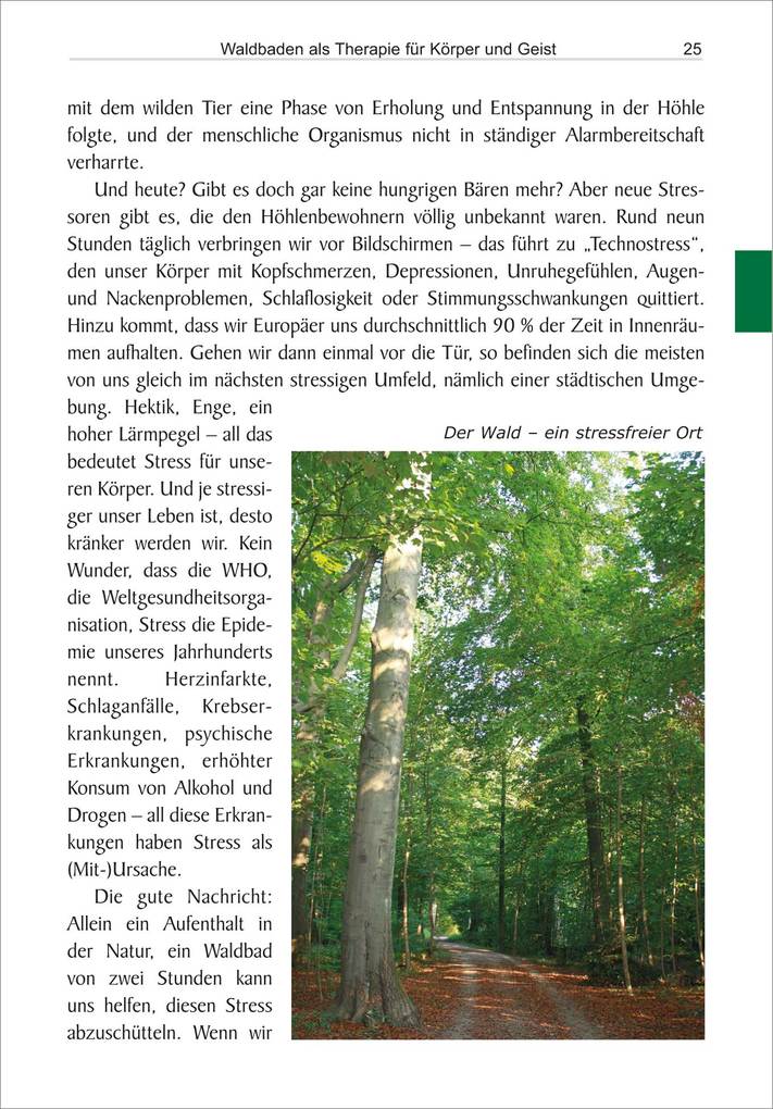 Weitere Ansicht: Waldbaden | Ulrike Katrin Peters